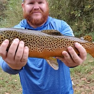 Meet your Posher, Timothy